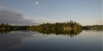 Reflection of trees on water, Lake Of The Woods, Ontario, Canada