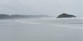 View of a beach, Long Beach, Pacific Rim National Park Reserve, Vancouver Island, Tofino, British Columbia, Canada