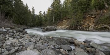 River flowing in a forest, Whistler, British Columbia, Canada