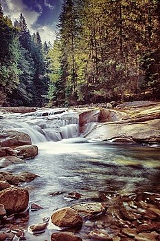 Beautiful waterfall in the forest, fresh falling water between stones in mountainous pine woods, amazing landscape, beauty of Ukrainian nature
