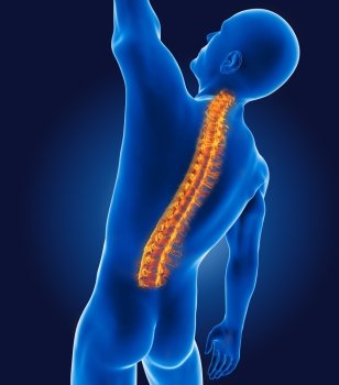 3D medical man with skeleton spine highlighted