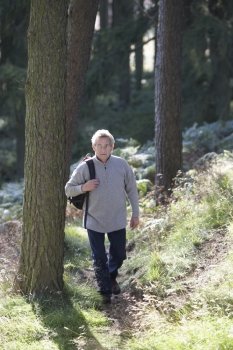 Senior Man On Country Walk Through Woodland