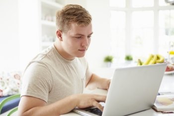 Teenage Boy Studying On Laptop At Home