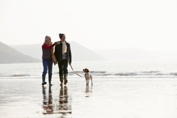 Senior Couple Walking Along Winter Beach With Pet Dog