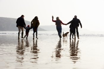 Multi Generation Family Walking On Winter Beach With Dog