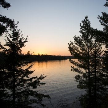 Silhouette of trees at the lakeside, Kenora, Lake of The Woods, Ontario, Canada