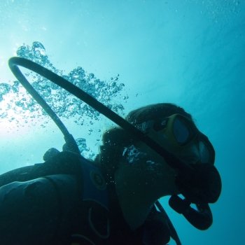 Scuba diver underwater, Utila, Bay Islands, Honduras