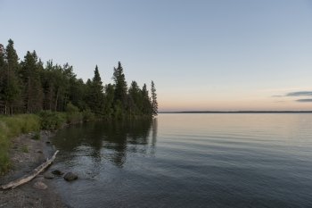Trees at the lakeside, Lake Audy Campground, Riding Mountain National Park, Manitoba, Canada