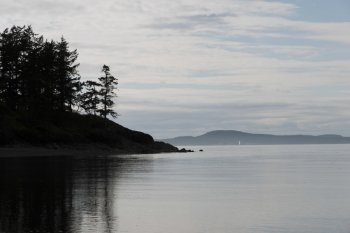 Reflection of trees on water, Deception Pass State Park, Oak Harbor, Washington State, USA