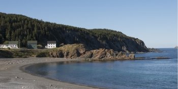 Houses along coastline, Twillingate, North Twillingate Island, Newfoundland And Labrador, Canada