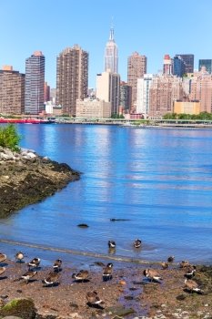Manhattan New York sunny skyline East River ducks NYC USA