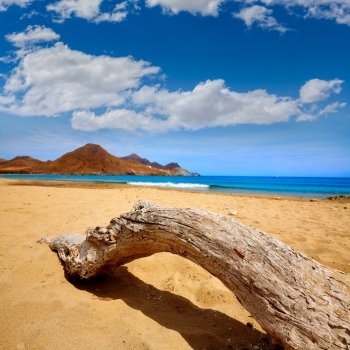 Almeria Playa de los Genoveses beach trunk in Cabo de Gata Spain