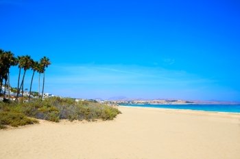 Costa Calma beach of Jandia Fuerteventura at Canary Islands of Spain
