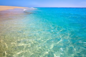 Morro Jable Matorral beach Jandia in Pajara of Fuerteventura at Canary Islands