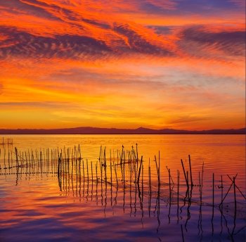 La Albufera lake sunset in El Saler of Valencia at Spain