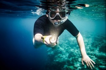 Snorkeler diving along the brain coral with flashlight