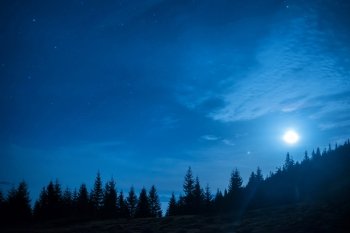 Forest of pine trees under moon and blue dark night sky with many stars. Space background