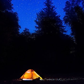 Illuminated orange tent at night in the forest under dark blue sky with many stars