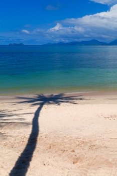 Palm tree shadow on the beach sand on tropical resort on Koh Samui, Thailand
