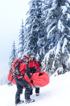 Ski patrol carry injured person skier in rescue stretcher snow