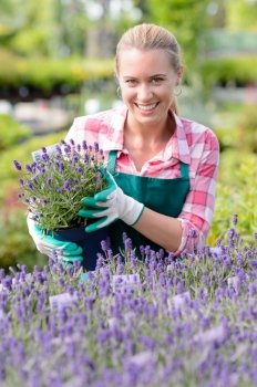 Smiling garden center woman worker with lavender potted flowers flowerbed