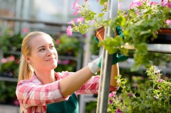Female garden center worker with potted plant flower shelf sunny
