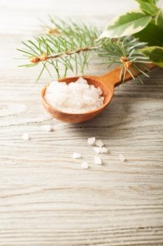 Aromatic bath salt in a wooden spoon and pine branch