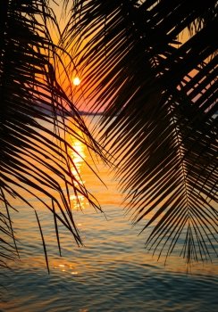 Sea Sunset on tropical beach
