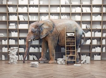 an elephant  in the room with book shelves. Creative concept