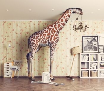 giraffe breaks the ceiling in the living room. Photography combination concept