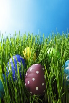 Easter eggs in grass under bright blue sky