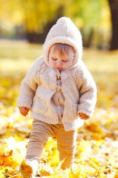 Autumn portrait of child. Autumn portrait of child in park walking on yellow leaves