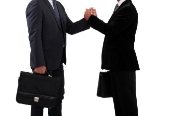 Business partners handshaking