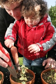 young father and toddler gardening