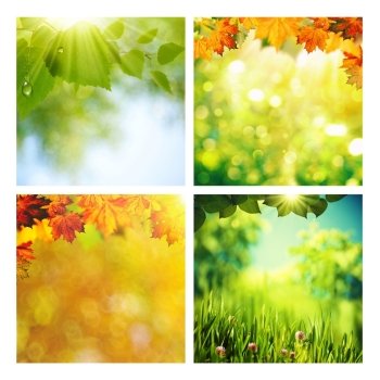 Summer and autumnal assorted backgrounds set for your design