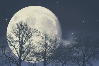 Under Moon light, abstract fantasy backgrounds