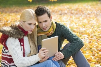 Couple using digital tablet together in park during autumn