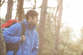 Make hiker carrying backpack in forest