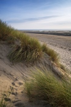 Evening Summer landscape over grassy sand dunes on beach