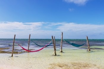 hammock in lagoon