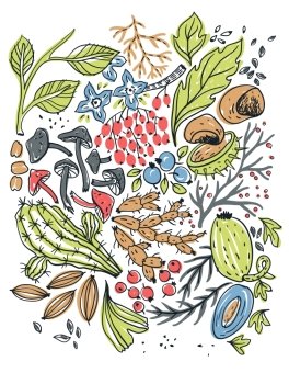 Hand drawn vector illustration of healthy organic food