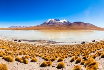 Aerial view of Laguna Canapa, it is a salt lake in the altiplano of Bolivia