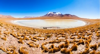 Panoramic view of Laguna Canapa, it is a salt lake in the altiplano of Bolivia
