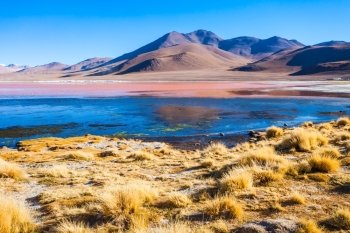 Laguna Colorada (Red Lake) is a salt lake in the Altiplano of Bolivia