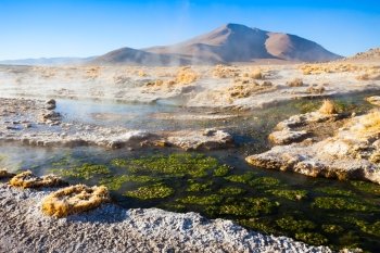 Hot spring in the Altiplano of Bolivia