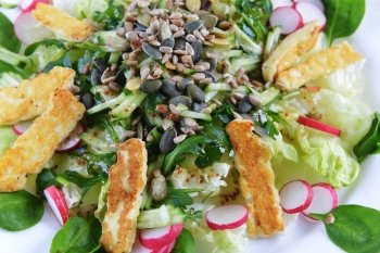 Fresh salad with greens, radishes and fried cheese