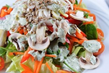 mushrooms salad with lettuce, cherry  tomato and seeds