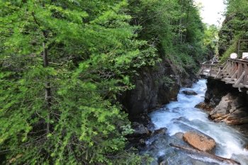 rapid mountain  brook flowing over rocks 