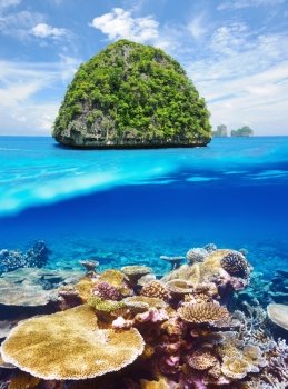Beautiful uninhabited island in Thailand with coral reef bottom underwater and above water split view