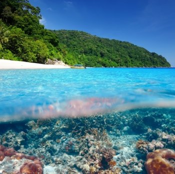 Beautiful beach with coral reef bottom underwater and above water split view